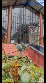 Finca la cristalina - Image 2