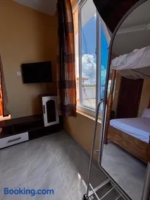 Harlequin Diani - Image 4