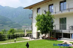 In Collina B&B - Image 1