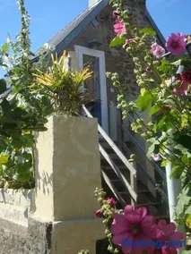 Studio "LA MEDINA", au coeur d'un merveilleux jardin, proche COMMERCES & MER - Image 2