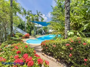 Tropical Mango House Stay - Image 2