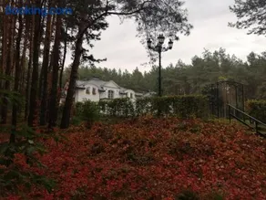 Leśny Dwór Uhowo - Image 2
