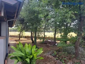 La casa del pi - Image 5
