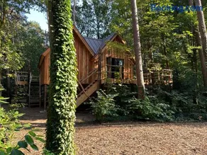 New Unique Treehouses with hot tub in Oisterwijk - Image 3