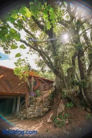 cabañas cruz verde - Image 1