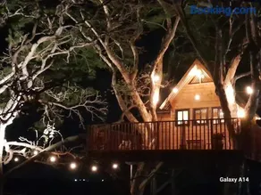 Casa na arvore Dream tree house - Image 5