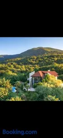 Kartepe Mountain Villa - Image 2