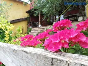 Casas los Cantores - Image 4