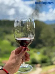 Quinta da Serra Villa & Chalés - Image 5