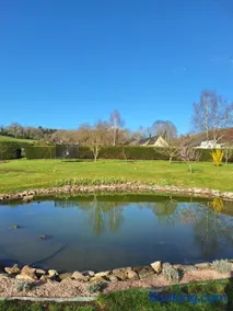La grenouille amoureuse - Image 3