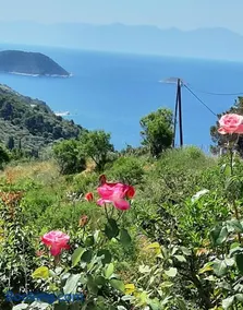 Villa Lemonia - Image 1
