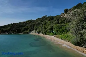 Matteo - Image 1