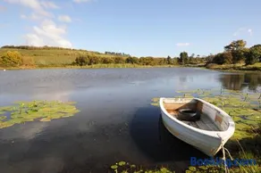 Galileo Farm - Image 2