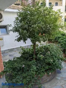Hotel Omirico - Image 5