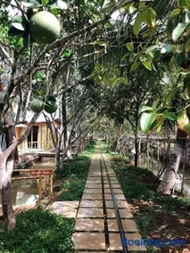Hide Away Bungalows in Ben Tre City - Image 2