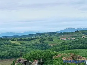 Apartma PERIN - Image 5