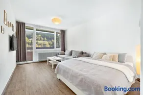 Apartmán Amálka pod Tanvaldským Špičákem - Image 1