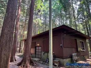 清流と森林の山荘 Tanzawa Forest Villa - Image 5