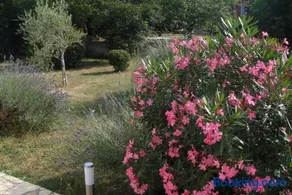 Adriana Holiday Apartment - Image 1