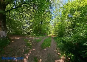 Gîte de la petite Reine - Image 2