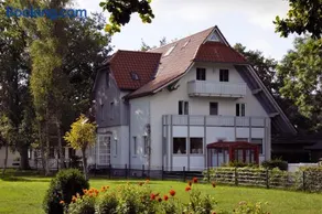 Darsskrabbe - Image 2
