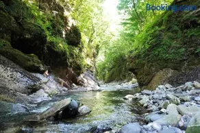 Casa Castagno e Ruscello - Nature Retreat in Liguria - Image 5