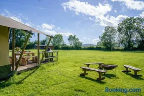 The Firs Glamping - Image 2
