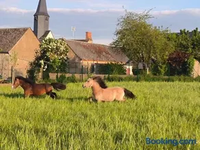 Tiny house familiale à la ferme pédagogique - Spa inclus - 1h30 de Paris - Image 3