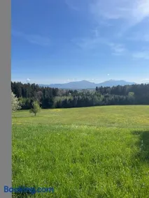 Ferienhaus Siedenberg - Image 3