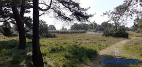 Drentse bungalow in natuur en rust - Image 2