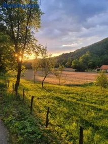 Poiana dintre Lumi - Image 1