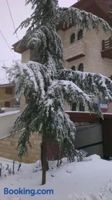 Merab Hotel - Image 4