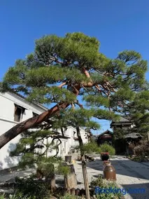 銅の夢 - Image 1