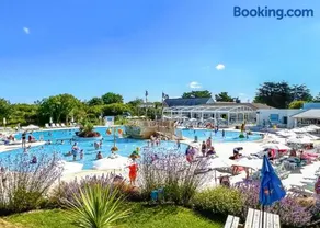 Monkey Tree Holiday Park - Image 1