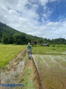 Summer Ridge - Homestay - Image 3