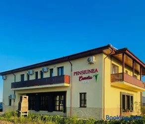PENSIUNEA CAMELIA - Image 1