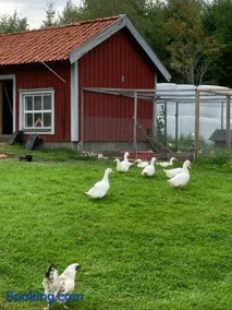 Täppans B&B - Image 3