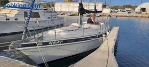 Velero Valencia Whimsy - Image 1