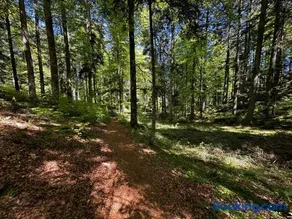 HAUS AM SEE - Natur Pur - Image 1