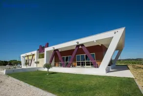 Quinta Monteiro de Matos - Enoturismo - Image 1