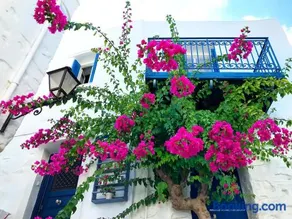 The Balcony Of Bougainvillea - Image 1