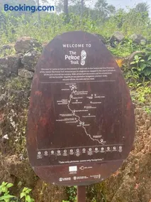 Tranquilisle - Image 2