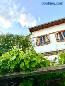 Vines & Views - Image 3