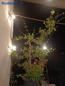 La Rosa - Image 1