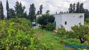 Dar Zakia - Image 2