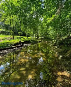 Private Pool Estate Sleeps 20 Guest House Creek - Image 5