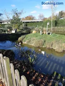 La mare aux canards - Image 1