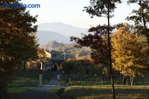 Ospitalita' Rurale Casa Cani - Image 1