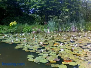 Au Jardin d'Eau - Image 4