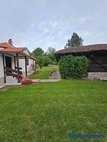 Topola vikendica - Image 5